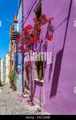 Maisons colorées avec des pots de fleurs et bouguinvillea dans une rue pavée pittoresque dans le vieux village médiéval de Bosa, île de Sardaigne, Italie Banque D'Images