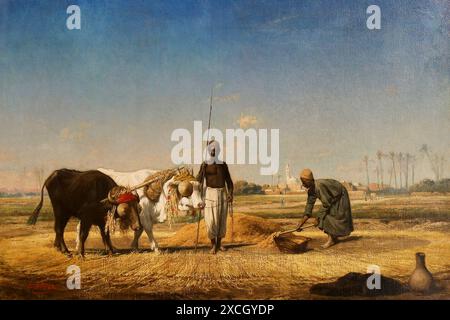 Réouverture de L'Inguimbertine à Carpentras 'la moisson en Kabylie (récolte en Kabylie) peinture d'Etienne BILLET (1821-1888) Banque D'Images