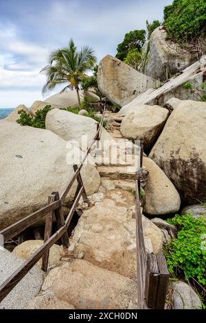 Sentier dans la forêt tropicale de la plus belle plage des Caraïbes, Playa Arenilla dans le parc national Tayrona, Colombie Colombie paysage Banque D'Images