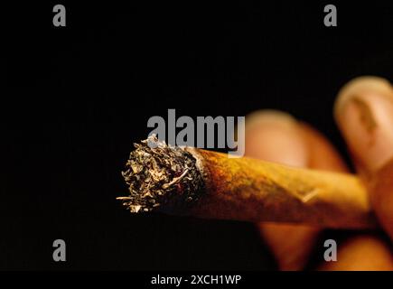 Plan macro d'une cigarette roulée allumée isolée sur le fond noir avec peu de flamme. Banque D'Images