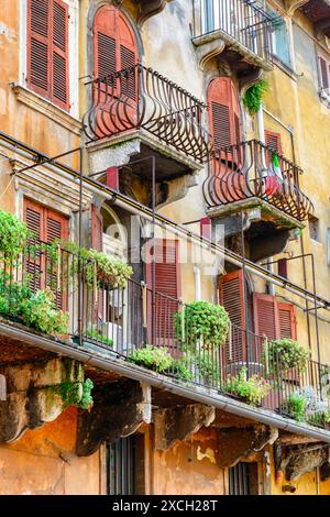 Beaux balcons de la vieille maison décorée avec des plantes en pots, Vérone, Italie. Vérone est une destination touristique populaire de l'Europe. Banque D'Images