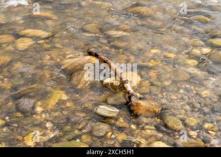 Ruissellement eau claire d'une partie peu profonde d'une rivière qui coule sur des galets. Branch est couché sur certains d'entre eux. Concept d'aller avec le flux, directionl Banque D'Images