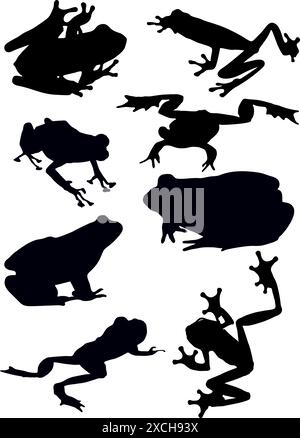 Silhouette de grenouilles noires sur un fond blanc. Illustration de Vecteur