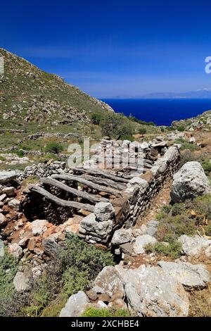 Vestiges d'une colonie sur le plateau de Pano Meri, Tilos, îles du Dodécanèse, sud de la mer Égée, Grèce. Banque D'Images