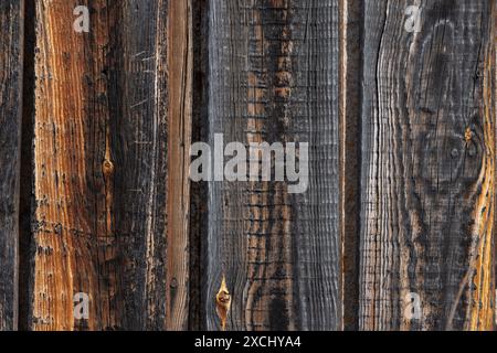 Fond de planches de bois non traitées. Texture bois pour vos photos. Fond rustique horizontal Banque D'Images