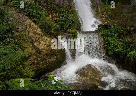 Cascade de Paglajhora , célèbre cascade en mousson, à Kurseong, montagnes himalayennes de Darjeeling, Bengale occidental, Inde. Origine de la rivière Mahananda. Banque D'Images