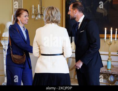 Oslo, Norvège. 17 juin 2024. Le secrétaire d'Etat de la région bruxelloise ans Persoons, la princesse Astrid de Belgique et le prince héritier Haakon Magnus de Norvège photographiés lors d'une rencontre avec un membre de la famille royale norvégienne, au Palais Royal d'Oslo, dans le cadre d'une mission économique en Norvège, lundi 17 juin 2024. La Princesse belge dirige une délégation belge pour discuter de la transition énergétique, de l’économie circulaire, des sciences de la vie et du design au cours des quatre prochains jours. BELGA PHOTO BENOIT DOPPAGNE crédit : Belga News Agency/Alamy Live News Banque D'Images