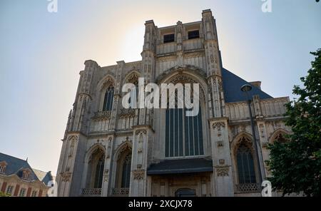 L'entrée principale de l'église Saint-Pierre (Sint-Pieterskerk) vue depuis la place Mathieu de layensplein. En plein cœur de Banque D'Images