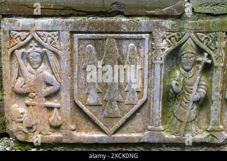 Rock of Cashel, comté de Tipperary, Irlande Banque D'Images