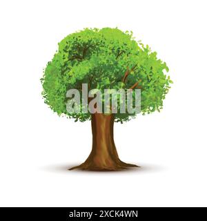 Bel arbre vert de paysage sur fond blanc Illustration de Vecteur