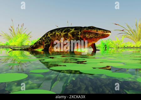 Eryops était un prédateur sauvage semi-aquatiques comme le crocodile moderne et a vécu au Texas, Nouveau Mexique et l'Est des États-Unis dans la période permienne. Banque D'Images