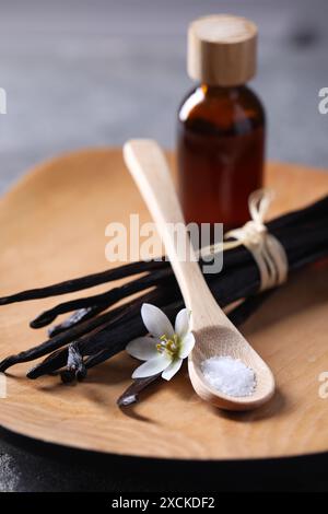 Cuillère de sucre, fleur, gousses de vanille et bouteille d'huile essentielle sur la table grise, gros plan Banque D'Images