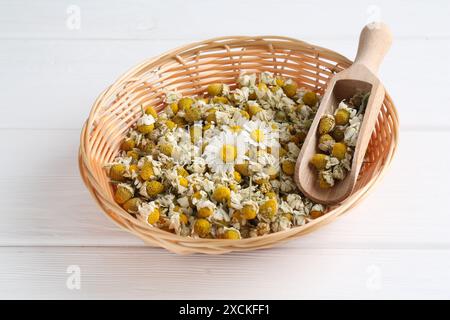 Fleurs de camomille sèches et fraîches avec cuillère dans un panier en osier sur une table en bois blanc Banque D'Images