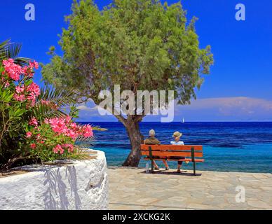 Couple assis sur un banc sous un tamari regardant vers la mer par une belle journée ensoleillée, île de Tilos, Dodécanèse, Grèce. Prise en mai 2024 Banque D'Images