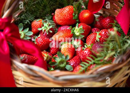Panier de fraises avec ruban rouge, prêt pour le plaisir Banque D'Images