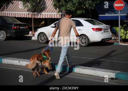 Téhéran, Iran. 17 juin 2024. Un iranien traverse une rue avec son chien dans le centre de Téhéran. Les citoyens iraniens voteront pour un nouveau président le 28 juin, suite au décès tragique du président Ebrahim Raisi dans un accident d’hélicoptère deux ans avant la fin de sa présidence. (Crédit image : © Rouzbeh Fouladi/ZUMA Press Wire) USAGE ÉDITORIAL SEULEMENT! Non destiné à UN USAGE commercial ! Banque D'Images