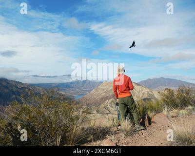 Alpiniste inconnu vu de l'arrière admirant un spectaculaire paysage montagneux andin comme un condor, vultur gryphus, vole au-dessus de Mendoza, Argentine Banque D'Images