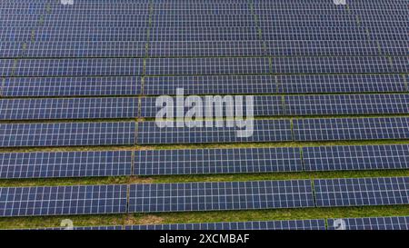Vue aérienne directe des rangées de panneaux solaires sur fond vert. Banque D'Images