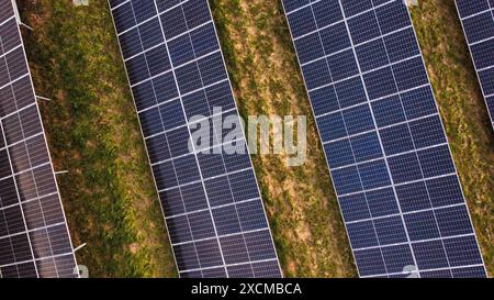 Panneaux solaires installés en rangées avec fond d'herbe. Banque D'Images