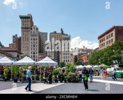 New York, NY – États-Unis – le 7 juin 2024, au marché agricole d'Union Square Park, une mosaïque dynamique d'habitants et de touristes parcourent les étals regorgeant de prod frais Banque D'Images