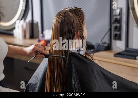 maître de beauté peignant les cheveux mouillés du client dans le salon de beauté close-up, concept d'auto-soins, soins capillaires professionnels Banque D'Images