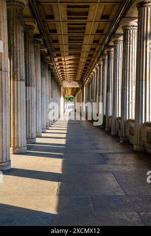 Kolonnade der Alten Nationalgalerie, Museumsinsel, Berlin Mitte, Berlin, Deutschland mcpins *** Colonnade of the Old National Gallery, Museum Island, Banque D'Images