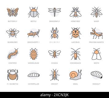 Ensemble d'icônes de ligne plate d'insectes. Papillon, insecte, coléoptère, sauterelle, cafard, scarabe, abeille, caterpillar illustrations vectorielles. Présentez les signes pour Illustration de Vecteur