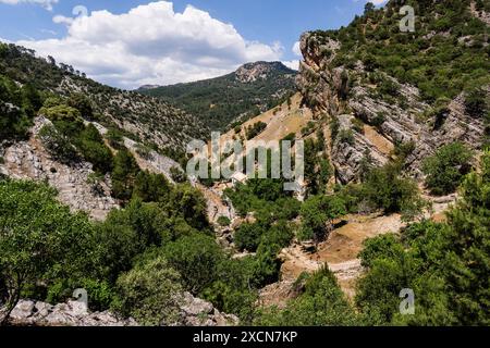 Route de la rivière Borosa, parc naturel sierras de Cazorla, Segura et Las Villas, Jaen, Andalousie, Espagne Banque D'Images