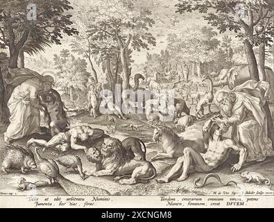 Erschaffung von Adam und Eva und der Tiere. Ursprung, Anvers. Datum, 1588 - 1600, Johann Sadeler, Historisch, digital restaurierte Reproduktion von Banque D'Images