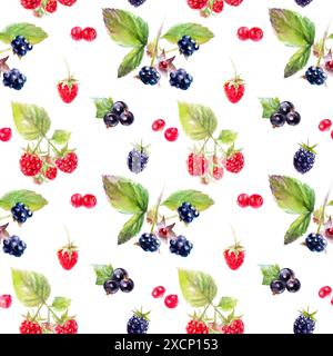 Fond de motif de baies vibrantes avec des mûres, des framboises et des groseilles rouges Banque D'Images