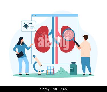 Examen des reins et du système urinaire pour l'infection, sensibilisation à la pyélonéphrite et cystite. De minuscules personnes avec la loupe examinent les reins humains pour l'illustration vectorielle de dessins animés de virus Illustration de Vecteur