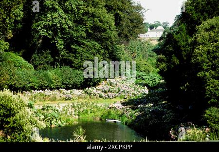 BIBLIOTHÈQUE DE VOYAGE D'UN OCÉAN À L'AUTRE - GÉRÉE PAR PPL PHOTO AGENCY - COPYRIGHT RÉSERVÉ hortensias d'été à Trebah Garden, Mawnan Smith, Cornwall. PHOTO CRE Banque D'Images