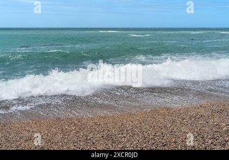 Gros plan côtier sur une plage de la région de Normandie, dans le nord de la France Banque D'Images