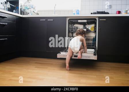 Un jeune enfant portant une couche rentre dans un lave-vaisselle ouvert, curieux du fonctionnement de cet appareil de cuisine. Banque D'Images