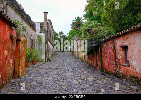 Colonia del Sacramento, Colonia, Uruguay - Die calle de los suspiros (Deutsch = Seufzergasse) ist eine der bekanntesten Sehenswürdigkeiten in Colonia Banque D'Images