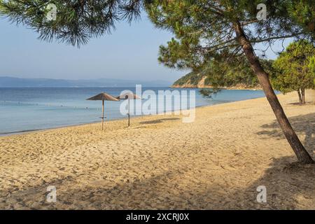 Plage de Koukounaries sur l'île de Skiathos en Grèce Banque D'Images