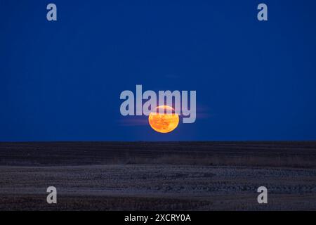 La pleine Lune levante du 23 avril 2024, avec la pleine Lune d'avril appelée populairement la Lune rose ou la Lune croquante grenouille. Ici, il s'élève au-dessus de th Banque D'Images