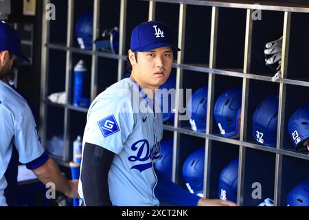 Los Angeles Dodgers Shohei Ohtani #17 est dans la dugout avant le match de baseball contre les mets de New York au Citi Field à Corona, New York, le mardi 28 mai 2024. (Photo : Gordon Donovan) Banque D'Images