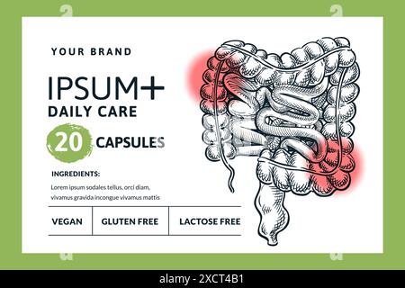 Concept de douleur intestinale. Paquet de capsules ou de pilules, étiquette, autocollant, modèle de conception de bannière. Vectoriel dessiné à la main esquisse des organes intestinaux humains Illustration de Vecteur