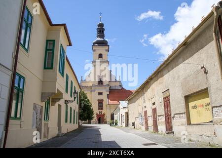 Membre de l'église James the Elder à Trnava, Slovaquie Banque D'Images