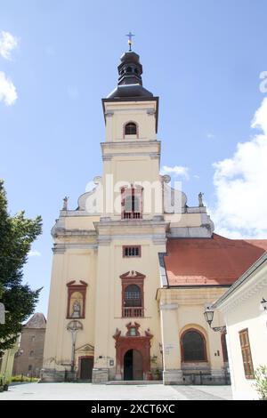 Membre de l'église James the Elder à Trnava, Slovaquie Banque D'Images