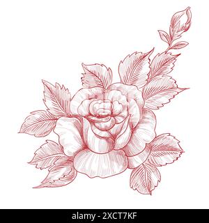 Dessin à la main et dessin de roses motif floral Illustration de Vecteur