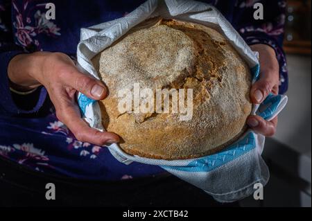 Une femme tient une miche de pain dans ses mains. Le pain est recouvert de farine et a un extérieur croustillant. La femme porte une chemise bleue et un flor Banque D'Images