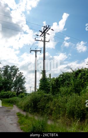 Lignes électriques sur poteaux électriques à Hinxton Cambridgeshire Banque D'Images