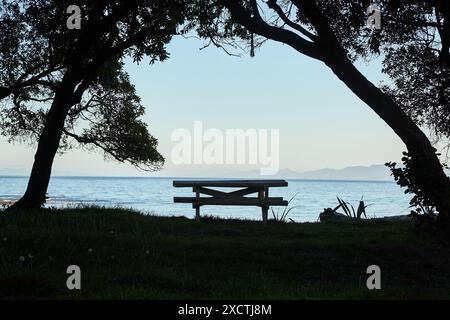 Banc et une table sur la plage de bord de mer à l'ombre des arbres Banque D'Images