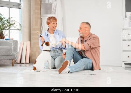 Couple mûr avec des pinceaux et chien assis sur le sol pendant la réparation dans leur nouvelle maison Banque D'Images