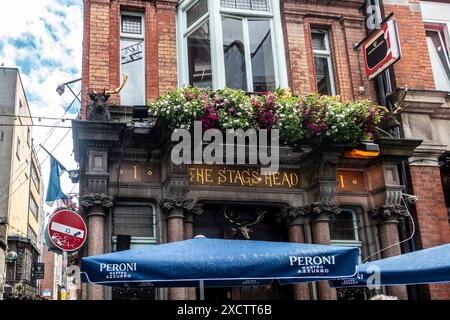 Le pub Stags Head à Dublin, Irlande Banque D'Images