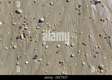 Pierres dans le sable humide à une plage Banque D'Images