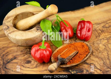 Poivron rouge, paprika (Capsicum annuum), piments et poivre de Cayenne Banque D'Images