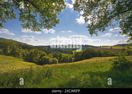 Paysage culturel vallonné avec ciel bleu et nuages, Allemagne, Rhénanie du Nord-Westphalie, région de la Ruhr, Wetter/Ruhr Banque D'Images